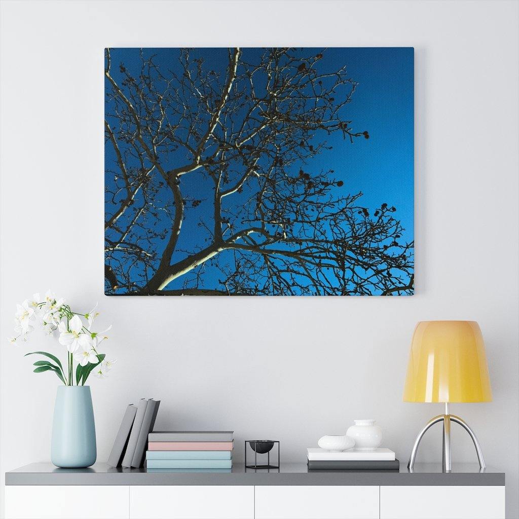 Tree Web - Coco Canvas